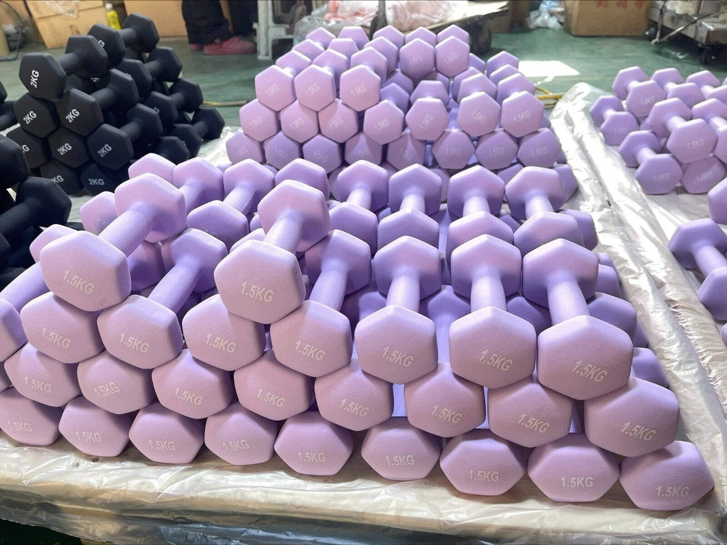 Neoprene Dumbbell Pair – Non-Slip Grip, Cast Iron Core – Gym Fitness Weights